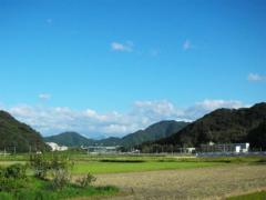 安心を漬ける