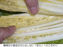刃を入れるのも漬物職人です